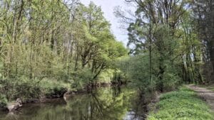 L'Aff à Glénac - rivière aux berges boisées
