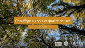 Capture d&rsquo;&eacute;cran webinaire sant&eacute; et bois &eacute;nergie