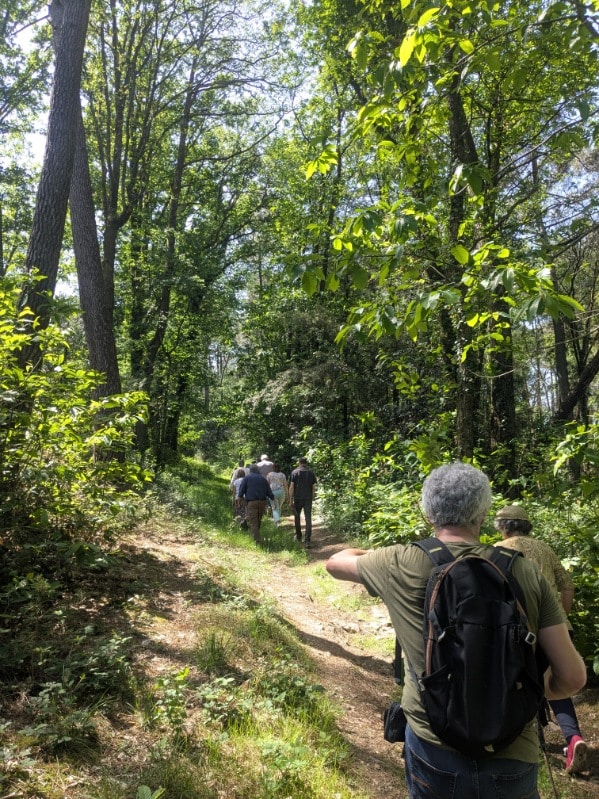 Balade immersive en foret de Glénac